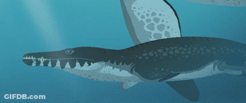 A Drawing Of A Whale With A Large Mouth GIF