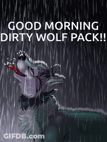 A Drawing Of A Wolf In The Rain With The Words " Good Morning Dirty Wolf Pack " GIF