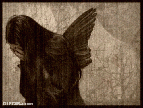 A Drawing Of A Woman With Wings On Her Back GIF