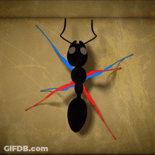 A Drawing Of An Ant With Red And Blue Lines GIF