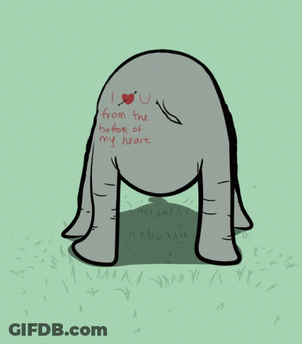 A Drawing Of An Elephant With The Words I Love You From The Bottom Of My Heart GIF