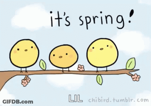 A Drawing Of Chicks Sitting On A Branch With The Words It 'S Spring GIF