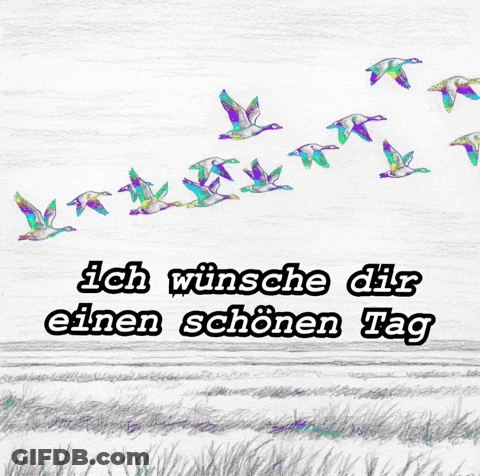 A Drawing Of Ducks Flying Over A Field With The Words Ich Wünsche Dir Einen Schönen Tag Below Them GIF