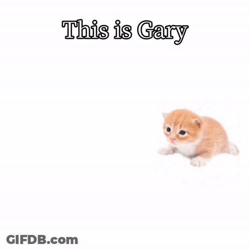 A Drawing Of Gary Brought You Another One With A Kitten GIF