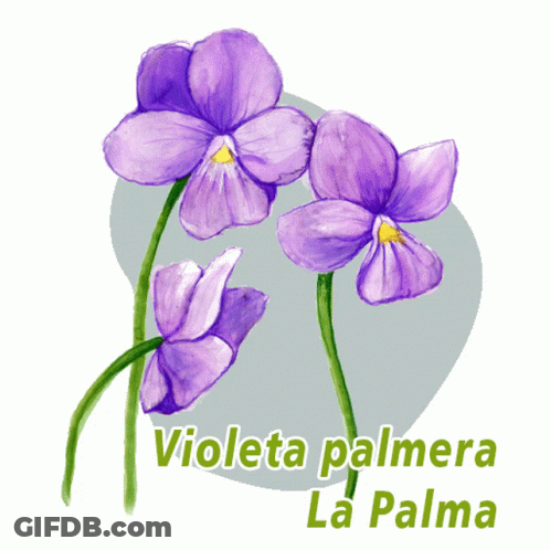 A Drawing Of Purple Flowers With The Words Violeta Palmera La Palma GIF