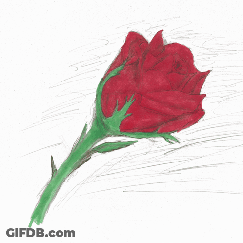 A Drawing Of Red Roses With Green Stems GIF