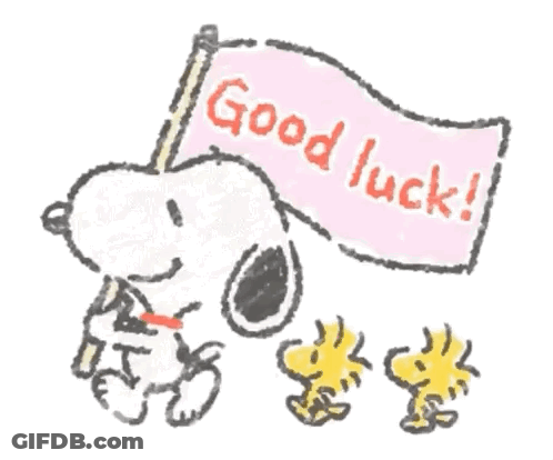 A Drawing Of Snoopy And Woodstock Holding A Flag That Says `` Good Luck '' . GIF