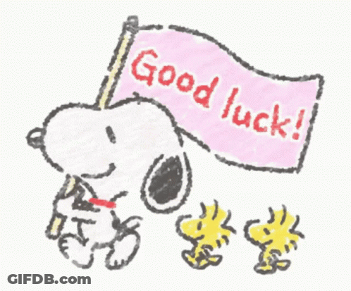 A Drawing Of Snoopy And Woodstock Holding A Pink Flag That Says Good Luck GIF
