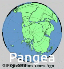 A Drawing Of The Earth With The Words Pangea 100 Million Years Ago GIF