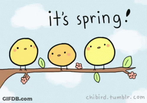 A Drawing Of Three Yellow Birds On A Tree Branch With The Words It 'S Spring GIF