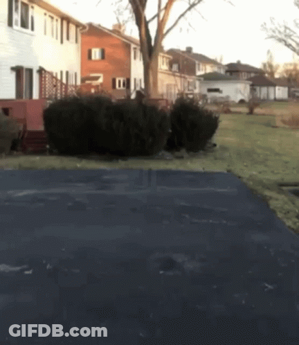 A Driveway Leading To A House With A Few Bushes In Front Of It GIF