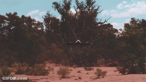A Drone Is Flying Over A Desert Landscape With Trees And Bushes GIF