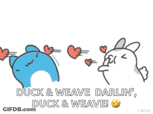 A Duck And Weave Darlin Duck And Weave Duck And Weave GIF