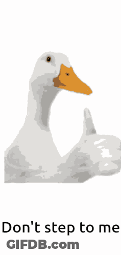 A Duck Giving A Thumbs Up With The Words " Do N't Step To Me " Underneath It GIF