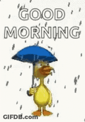A Duck Is Holding A Blue Umbrella In The Rain . GIF