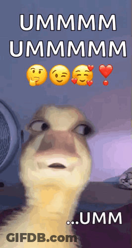 A Duck Is Making A Funny Face And Says Ummm Ummm Umm GIF