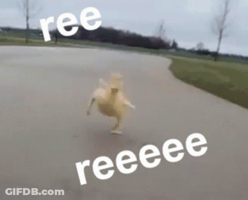 A Duck Is Running Down A Road With Ree And Reeeee Written On The Side GIF