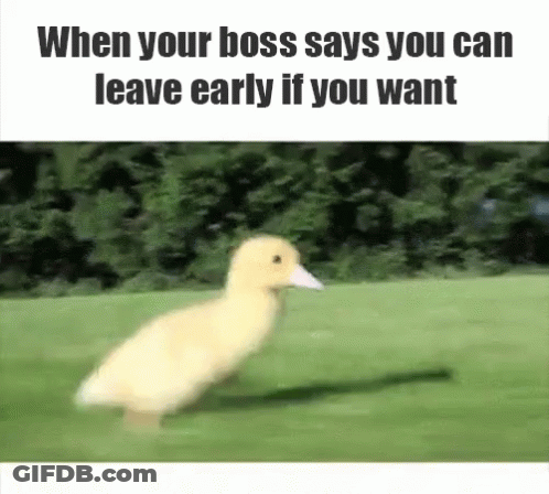 A Duck Is Running In A Field With The Caption When Your Boss Says You Can Leave Early If You Want .. GIF