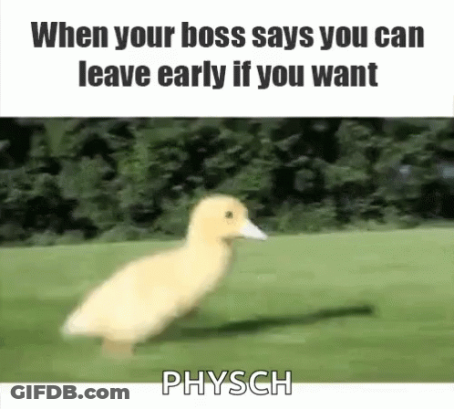 A Duck Is Running On A Grassy Field . GIF