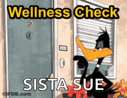 A Duck Is Standing In Front Of A Door With The Words Wellness Check Sista Sue On It GIF