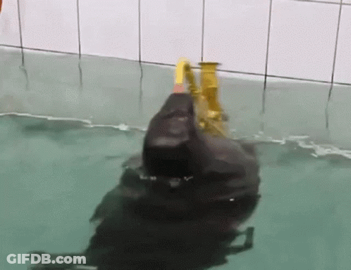 A Duck Is Swimming In A Pool With A Yellow Hose Attached To It 'S Head . GIF