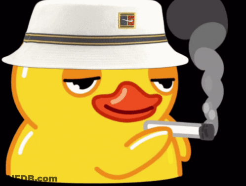 Duck Wearing Nike Hat Smoking GIF
