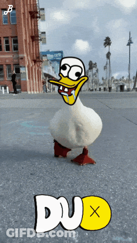 Cartoon Duck With Dux Text Below GIF