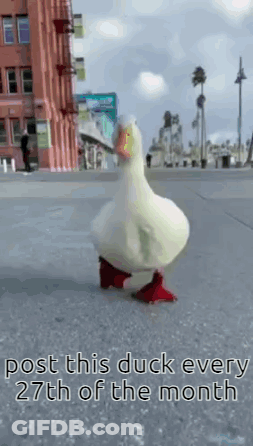 A Duck With Red Feet Is Walking Down A Sidewalk . GIF