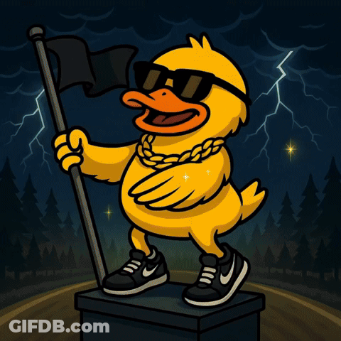 A Duck With Sunglasses And A Chain Around Its Neck Is Holding A Black Flag And The Word Duckcoin Is On The Bottom GIF
