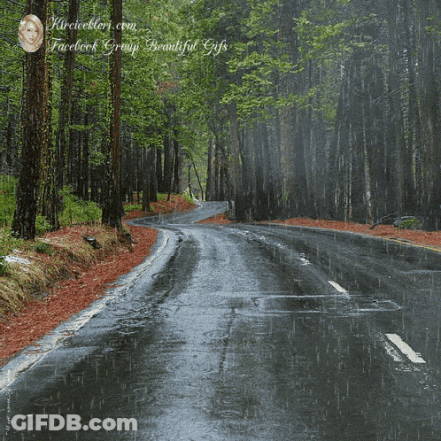 A Facebook Group Called Facebook Group Beautiful Gifs Has A Picture Of A Rainy Road GIF