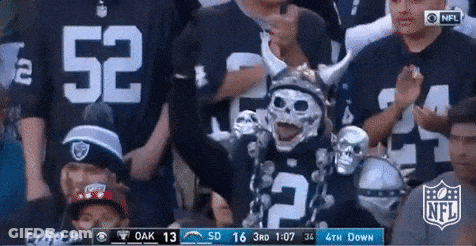 A Fan Wearing A Viking Helmet And A Skull Mask Is Watching A Football Game . GIF