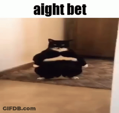 A Fat Black And White Cat Is Standing In A Hallway With Its Arms Crossed . GIF