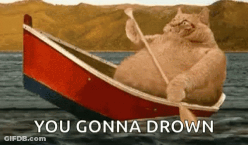 A Fat Cat Is Rowing A Boat In The Water With The Words `` You Gonna Drown '' . GIF