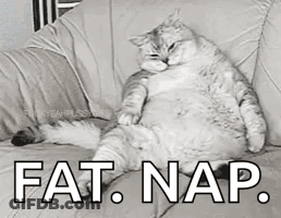 A Fat Cat Is Sitting On A Couch With The Words Fat Nap Written On It . GIF
