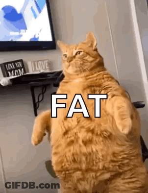 A Fat Orange Cat Is Standing On Its Hind Legs In Front Of A Television . GIF