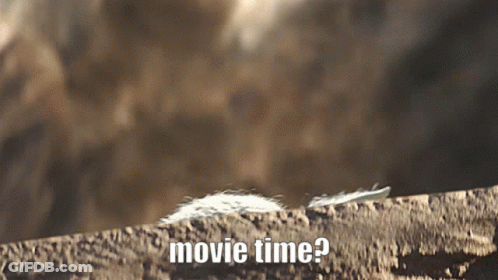 A Feather Is Laying On A Rock With The Words Movie Time Below It GIF