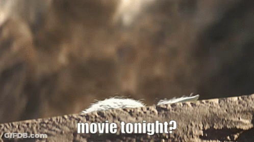 A Feather Is Laying On A Rock With The Words Movie Tonight GIF