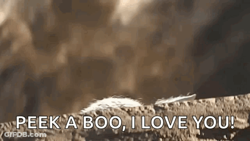 A Feather Is Laying On A Rock With The Words `` Peek A Boo , I Love You '' Written On It . GIF