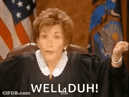 A Female Judge Is Sitting In Front Of An American Flag And Saying Well4duh . GIF