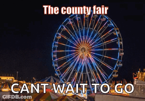 A Ferris Wheel At A Carnival With The Words Cant Wait To Go Below It GIF