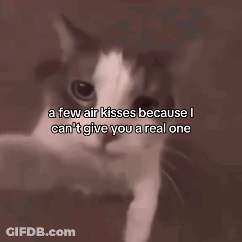 A Few Air Kisses Because I Can 'T Give You A Real One Written On A Cat 'S Face GIF