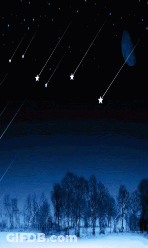 A Few Stars Are Falling In The Night Sky Over A Snowy Forest GIF