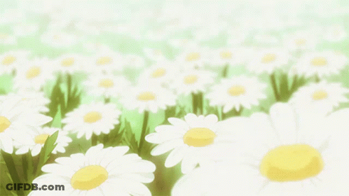 A Field Of Daisies With A Green Background GIF