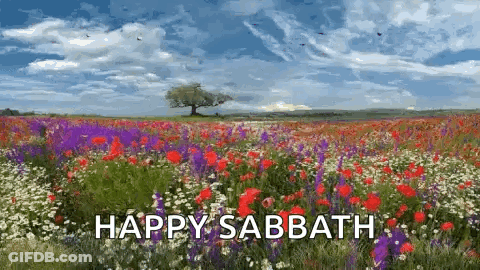 A Field Of Flowers With A Tree In The Background And The Words Happy Sabbath GIF