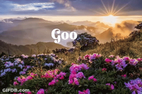 A Field Of Flowers With The Word Goo On The Bottom Right GIF
