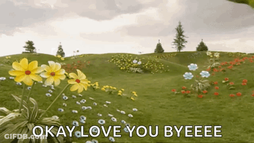 A Field Of Flowers With The Words Okay Love You Byeeee Written On It GIF