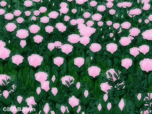 A Field Of Pink Flowers Surrounded By Greenery GIF
