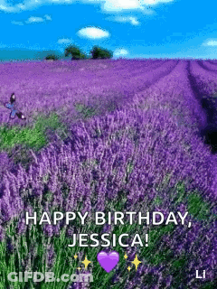 A Field Of Purple Flowers With The Words `` Happy Birthday , Jessica '' On It . GIF