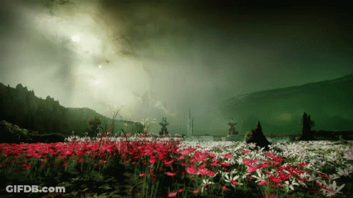 A Field Of Red And White Flowers Against A Green Background GIF