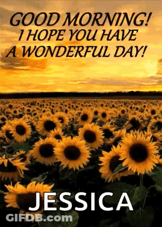 A Field Of Sunflowers With The Name Jessica Written On It . GIF